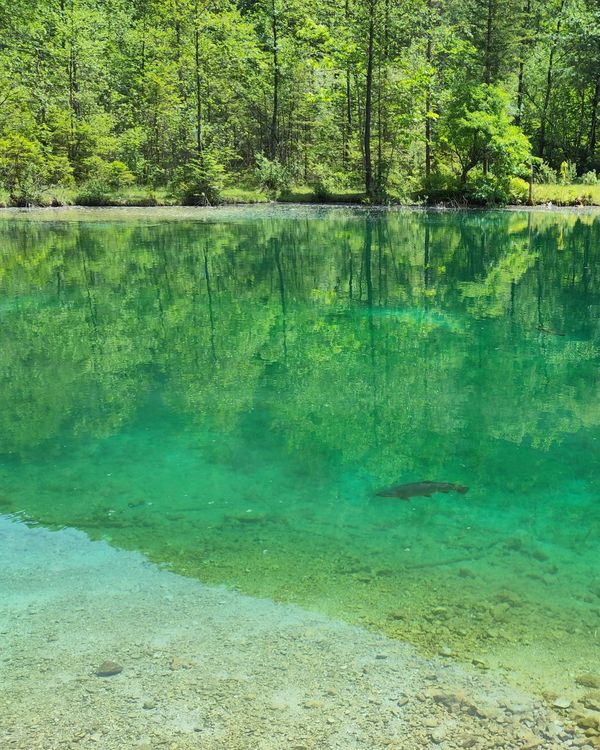Bluntausee