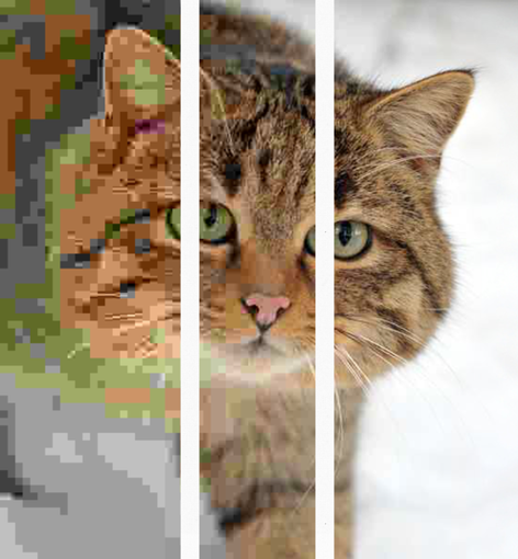 Beispiel für ein jpg Bild: verschiedene Kompression